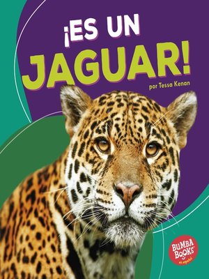 cover image of ¡Es un jaguar! (It's a Jaguar!)